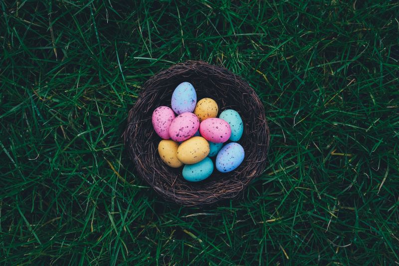 Digital marketing eggs in one basket
