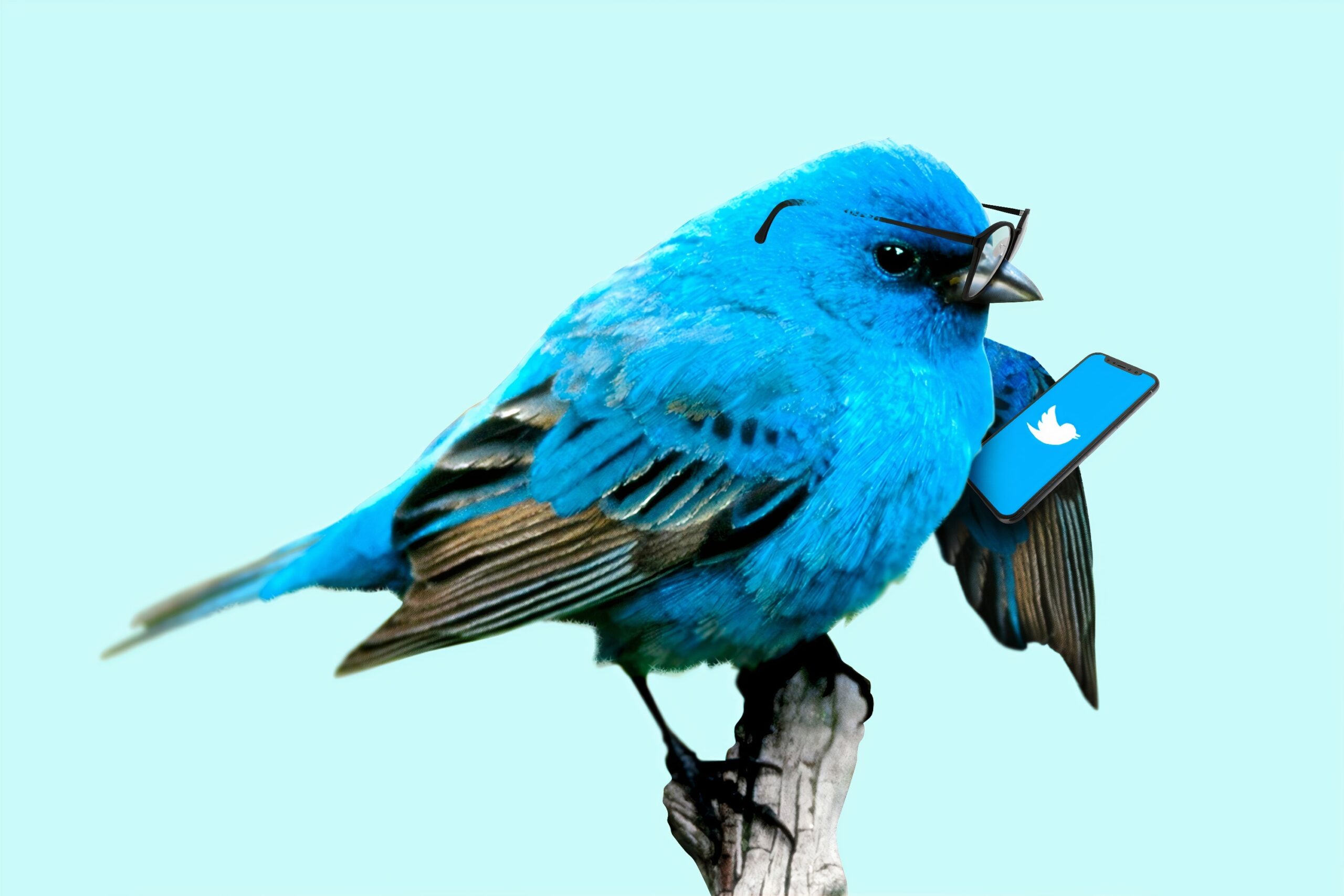 Twitter Jargon